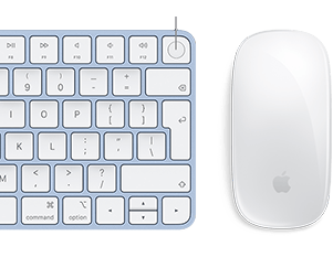 لقطة مقربة للوحة مفاتيح Magic Keyboard وفأرة Magic Mouse متطابقتين في اللون، مع تركيز على بصمة Touch ID