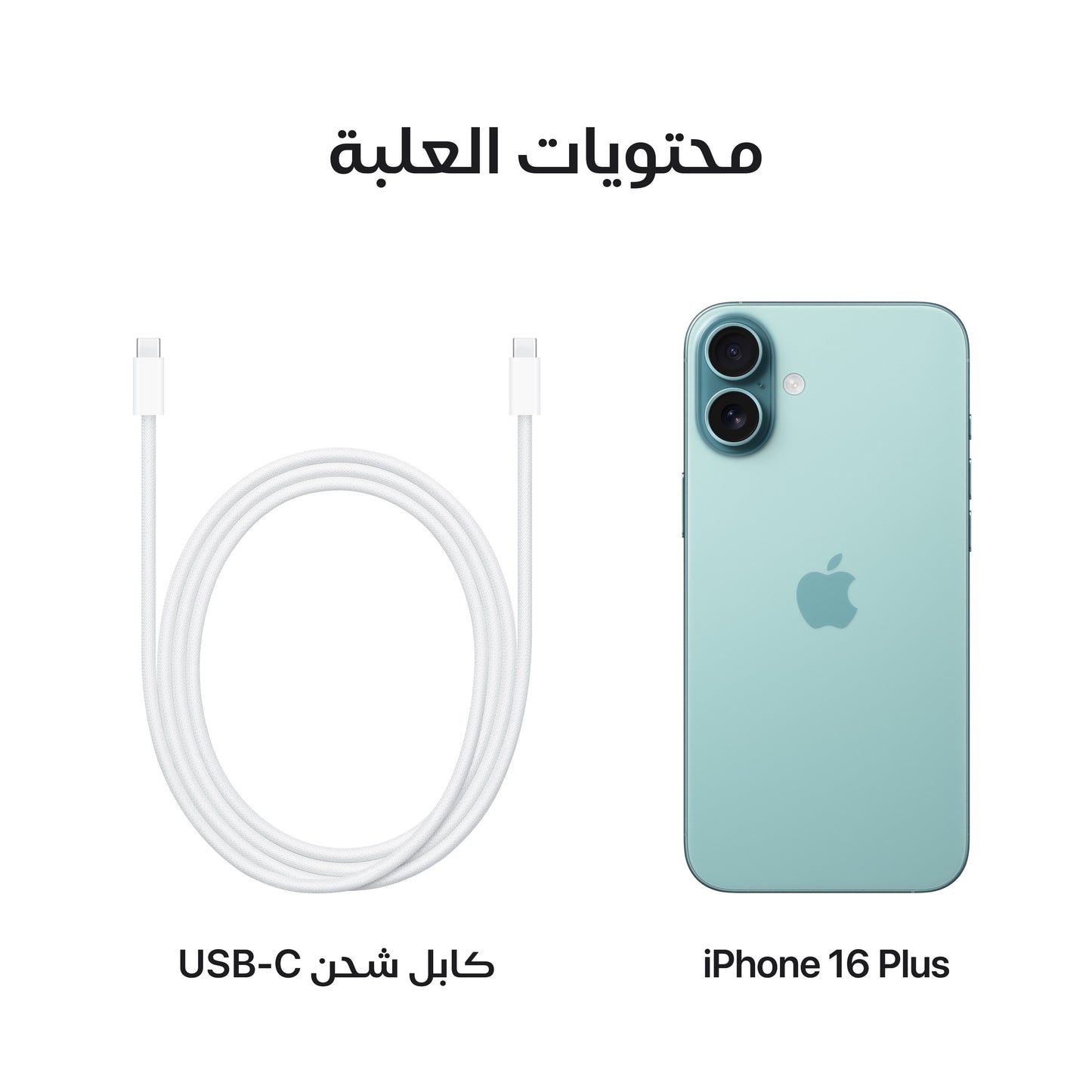 iPhone_16_Plus_Teal_PDP_Image_Position_8__ar-ME