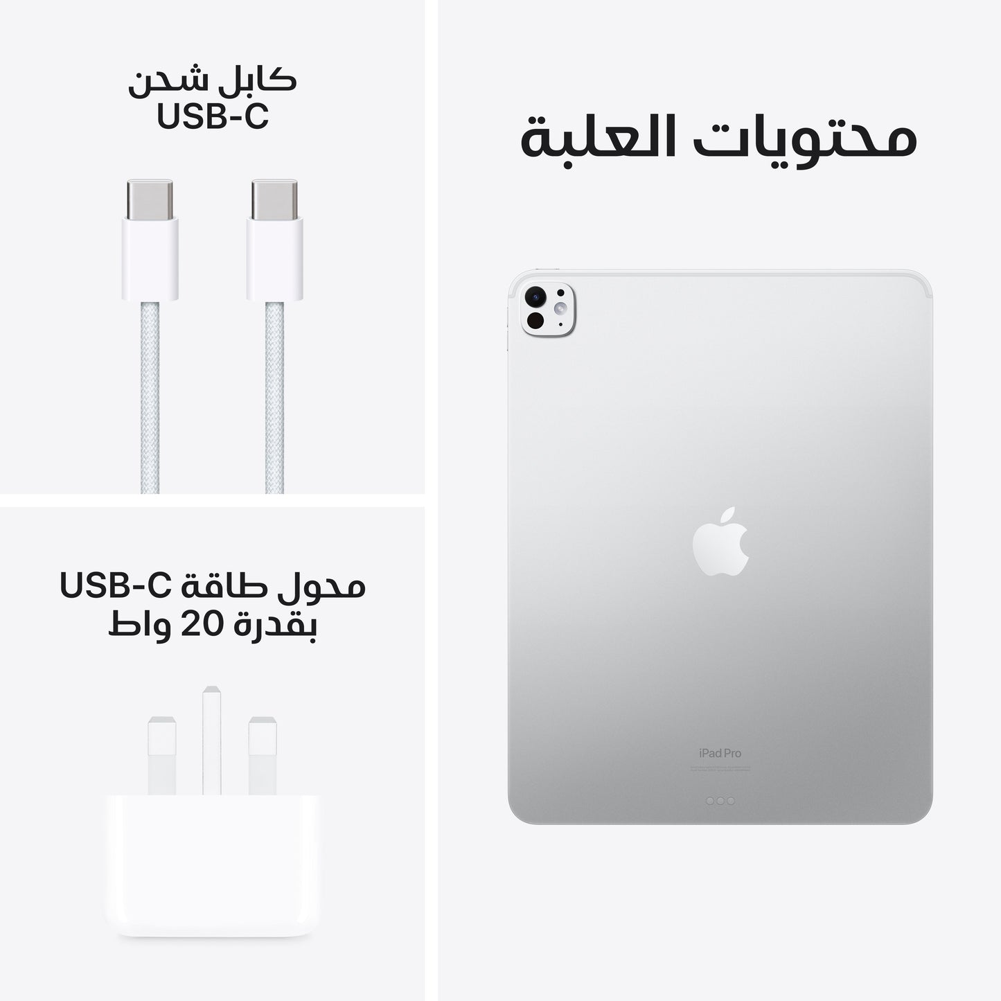 iPad_Pro_13_M4_WiFi_Silver_PDP_Image_Position_9__ar-ME