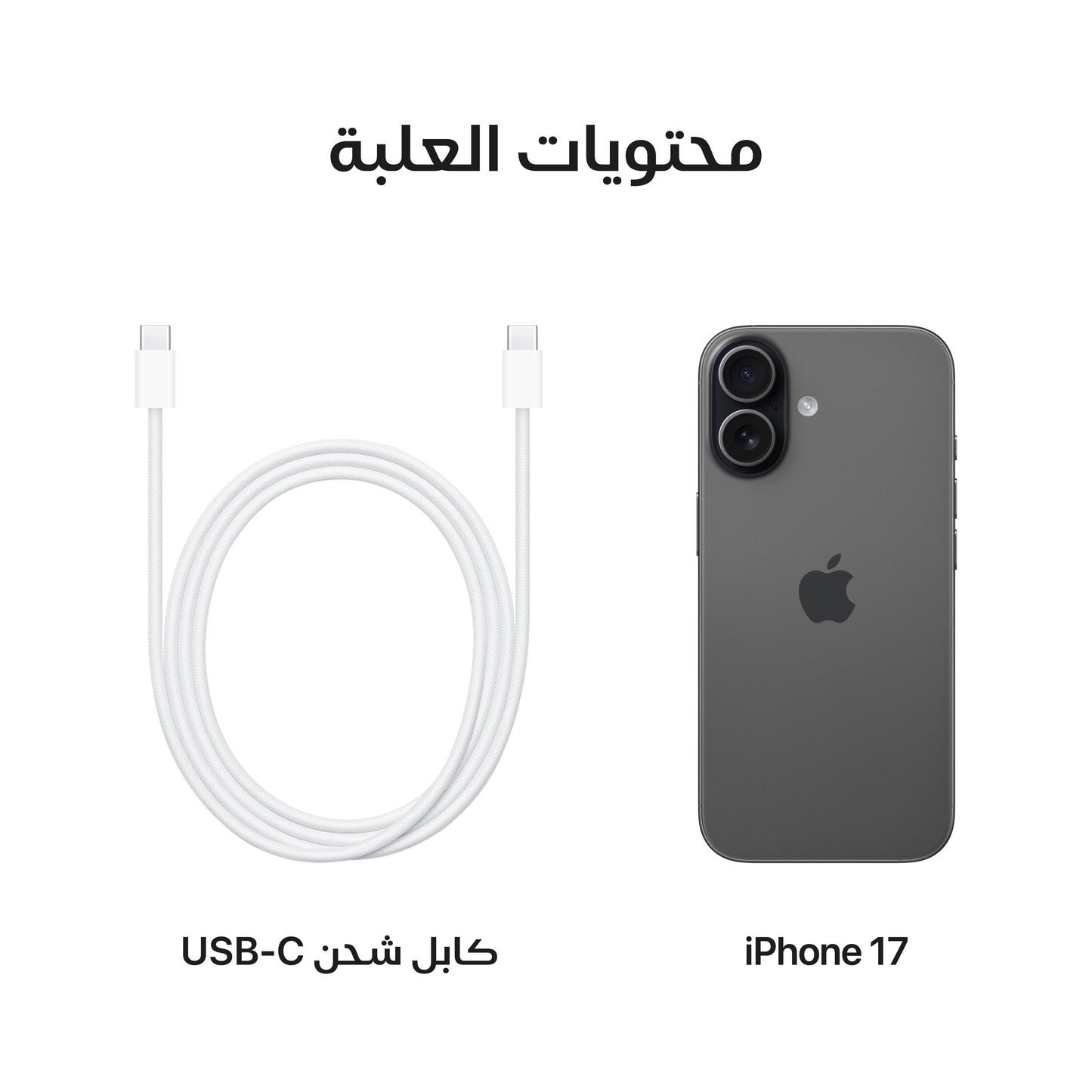 iPhone_17_Black_PDP_Image_Position_8__ar-SA