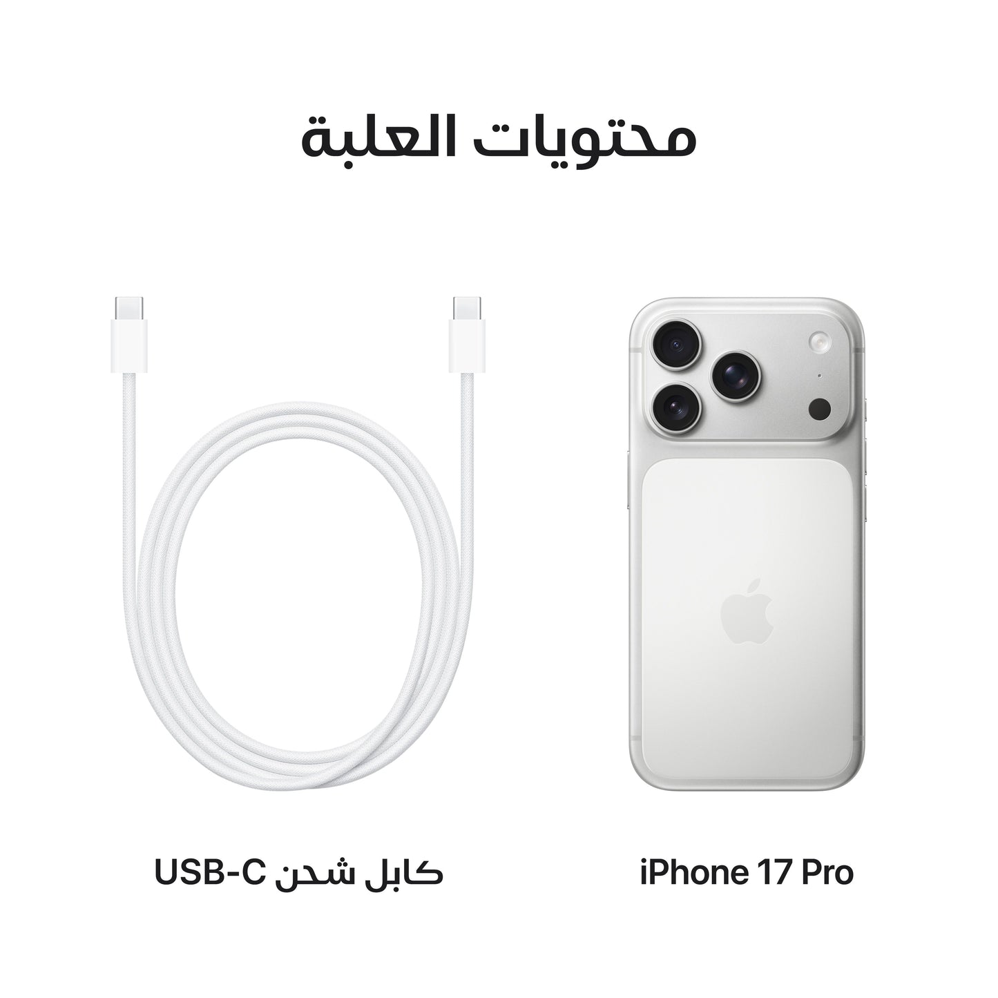 iPhone_17_Pro_Silver_PDP_Image_Position_8__ar-SA
