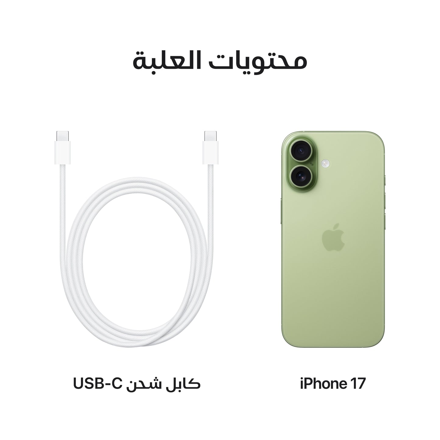 iPhone_17_Sage_PDP_Image_Position_8__ar-SA